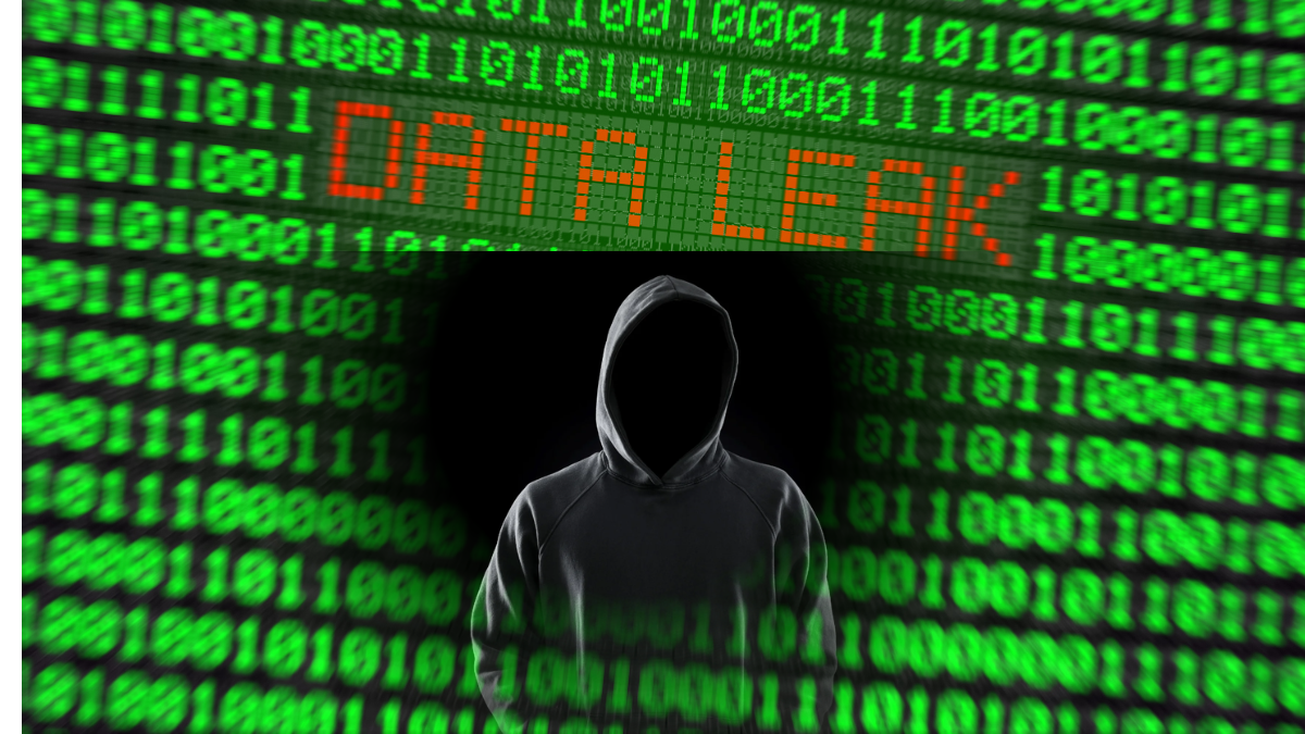 Investigative Recherche von COIFFO zu einem staatlichen Datenleck bei deutschen Prominenten und Stars.
